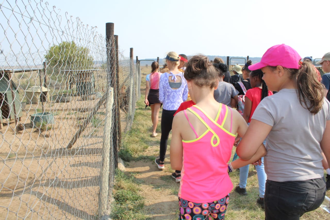 Grade 9 learners on a Veldskool nature walk