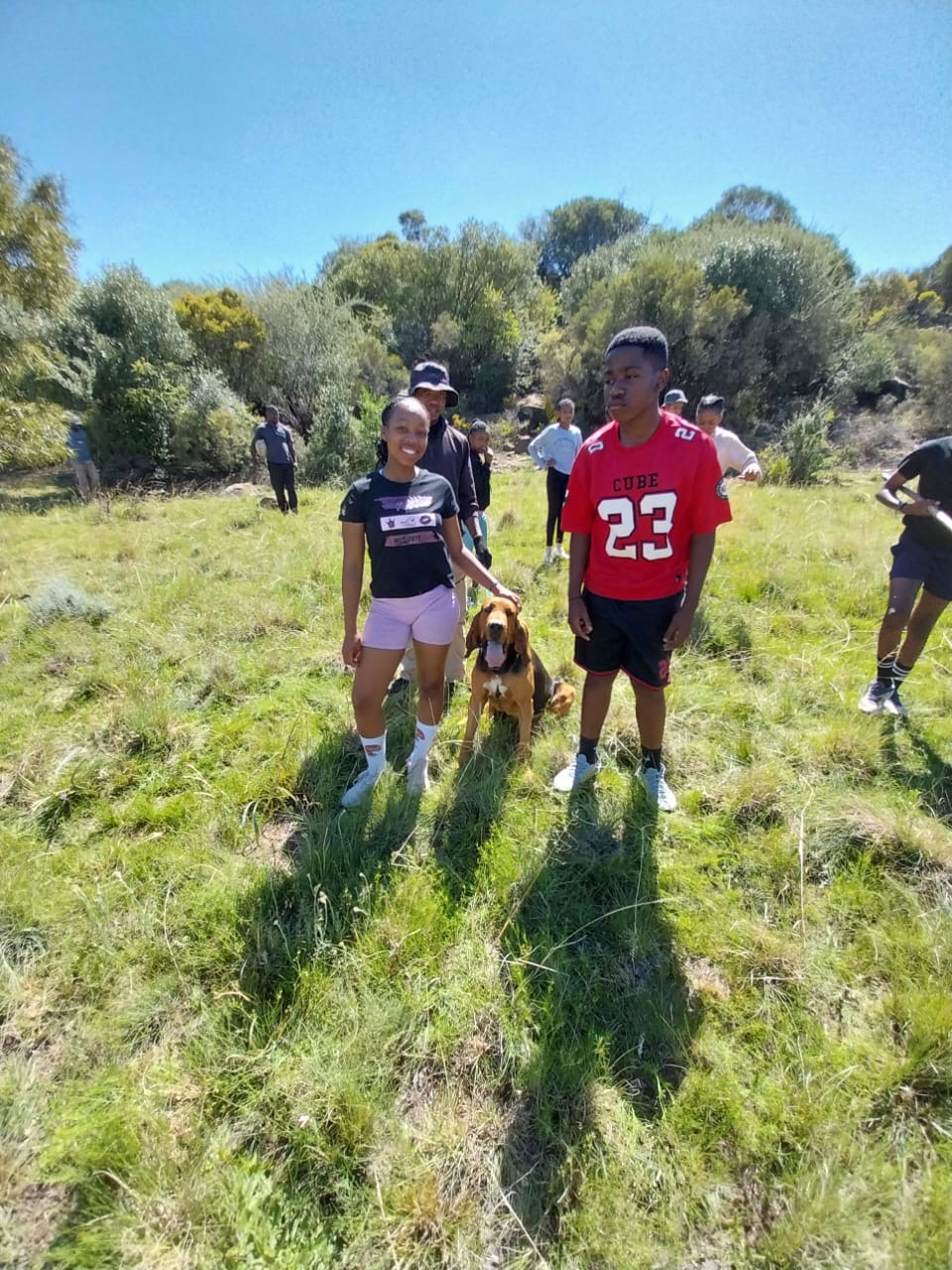 K9 Dog Activities