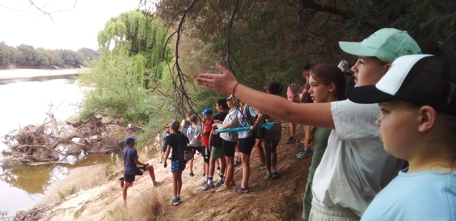 Nature conservation activity